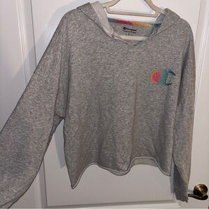 Champion Gray Hoodie with Colorful Logo